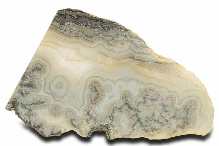 Polished Crazy Lace Agate Section - Mexico #337008